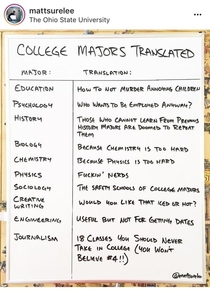 College majors translated