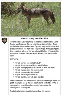 Comal County Texas Sheriff Coyotes are ok Coyotes carrying ACME boxes Not ok Coyotes blowing stuff up Not ok Coyotes posting signs Definitely not ok
