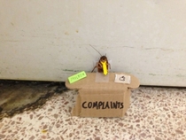 Complaints are always welcomed in our company