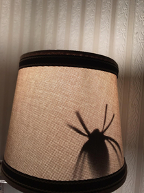 Completely unprompted my son cut a paper spider out and taped it inside my wifes lampshade and Ive never been more proud