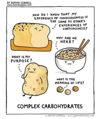 Complex carbohydrates