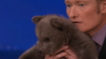 Conan and the Cub
