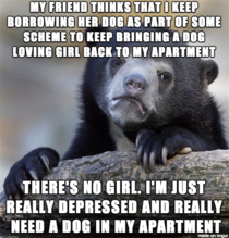 Confession bear