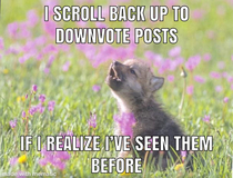 Confession bear I downvote more often than I upvote