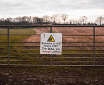 Continuing the theme of farmers warning trespassers with bulls