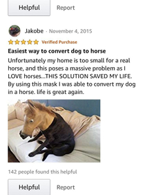 Convert dog to horse