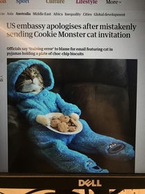 COOKIE KITTY