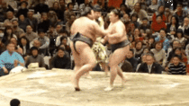 Cool Sumo Wrestling