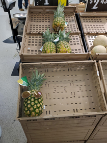 Coolest pineapple youll every see