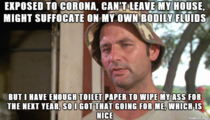 corona has hit my state and toilet paper is officially more valuable than gold