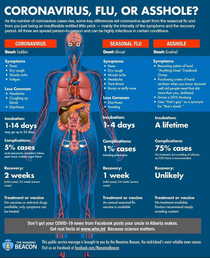 Coronavirus flu or asshole