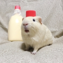 Cosplaying as a bottle of cream
