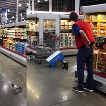 Costco employee silently tries to trap a pigeon