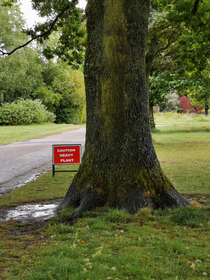 Couldnt pick it up sign checks out