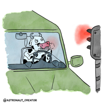 Cow in a car