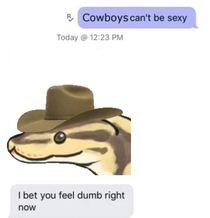Cowboys huh