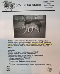 Coyote warning from the Sheriffs office