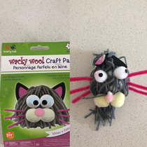 Craft fail by my kid nope that was my wife 