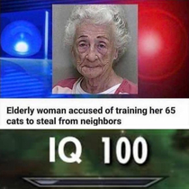 Crazy cat burglar
