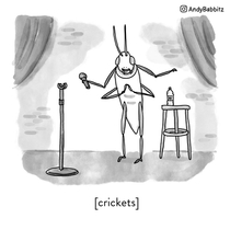 Cricket standup
