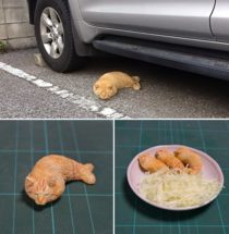 Crispy Cat Tempura