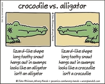 Crocodile vs Alligator