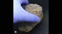 Cross Section of rare Pallasite iron meteorite