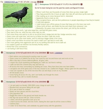 Crow Wars xpost rgreentext