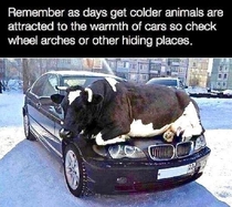 Crucial Advice This Winter