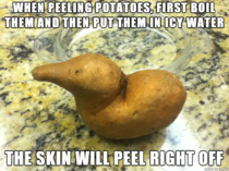 Culinary Advice Potato