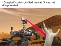 Curiosity killed the cat