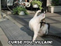 curse you villain