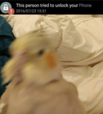 Cursed selfie of my bird