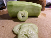 Cut up a cucumber earlier and let me just say - I felt pretty terrible about it