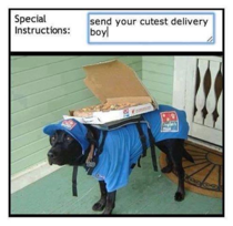 Cute delivery boy