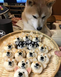 cute puppy cake