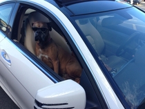 CVS parking lot Hip-hop blaring No driver in sight