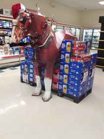 Cyberhorse next to beer