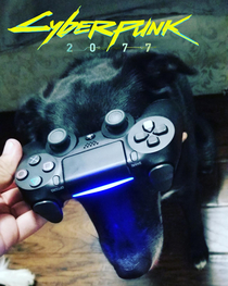 Cyberpup 