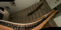 Dachshund running up stairs with panoramic camera