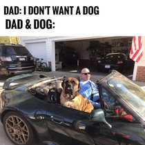 Dad amp Dog