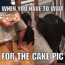 DAD ENOUGH WITH THE PICS AND GIMME THE CAKE