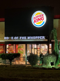 Damn BK really will do anything for business