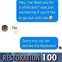 Damn cats