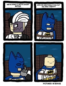 Damn it Batman