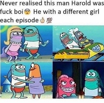 Damn it Harold