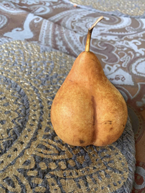 Damn why is my pear thick asf