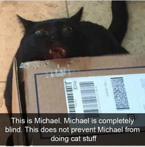 Damnit Michael