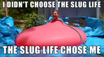 Dan the slug