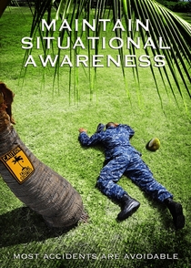 Danger Falling Coconuts Official USN Safety Poster April 